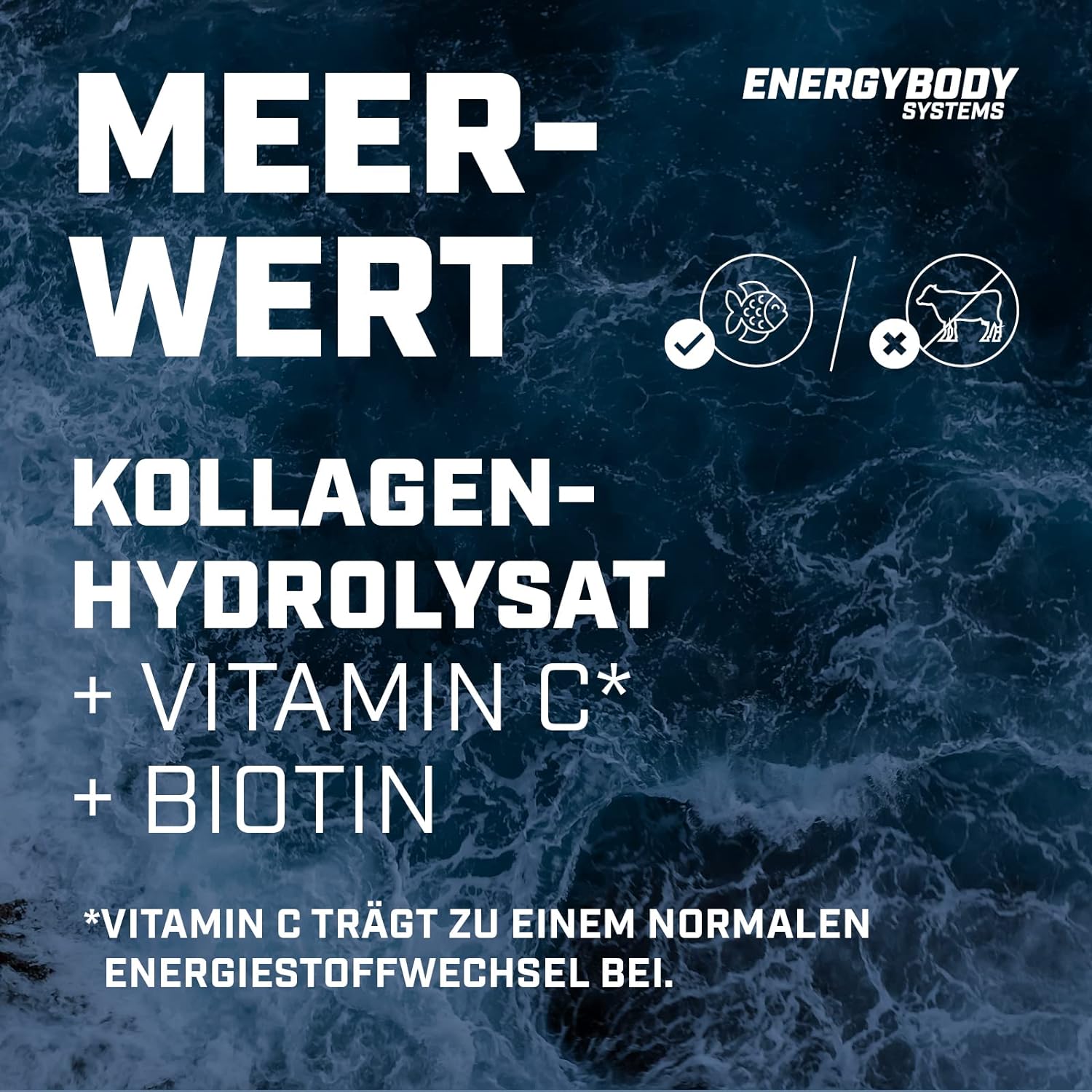 Marine Kollagen - Bild 2